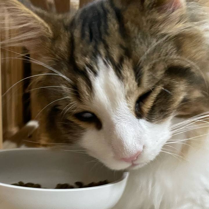 99e0d01d 8c6d 4512 ac11 b2ca5952796d 1642165967060