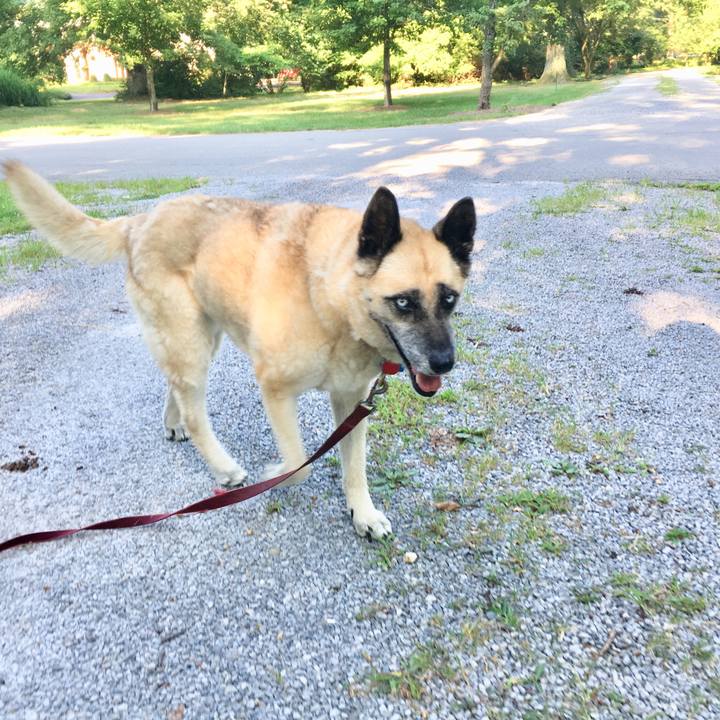 99e0d0e7 03ee 4d40 a799 4079ab732a80 1531366687295