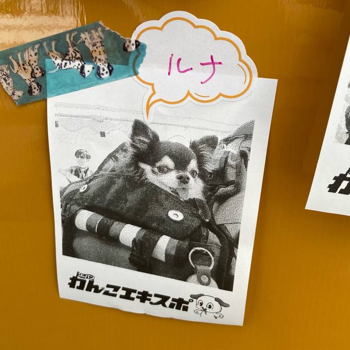 99e0ee68 a845 44bc 8a7e e16dbf67a7dd 1774162738030