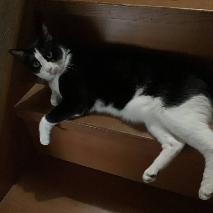 99e0f67a 04b2 4355 bea4 ba4ba624aeb7 1661429784276