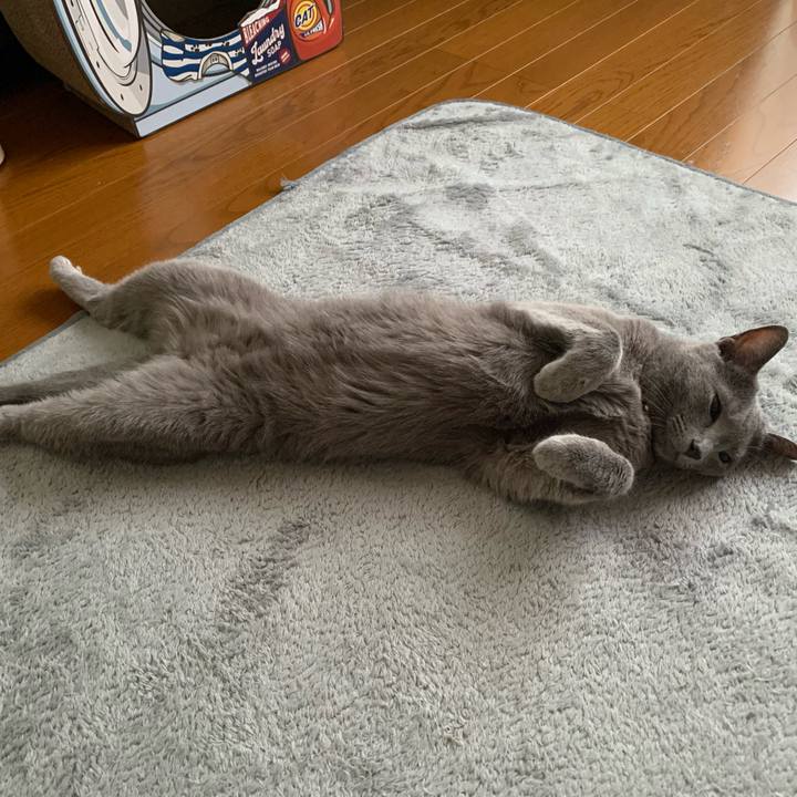 99e10a4a 95f5 4014 adac fbe853af1862 1662676733243