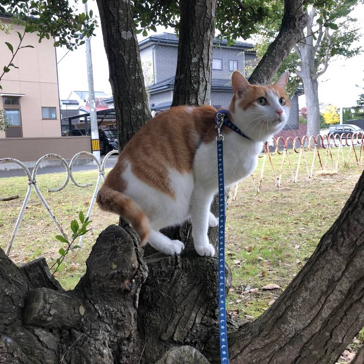 99e10eb8 7899 4e82 bd2e 522625b4b9ba 1540956903552