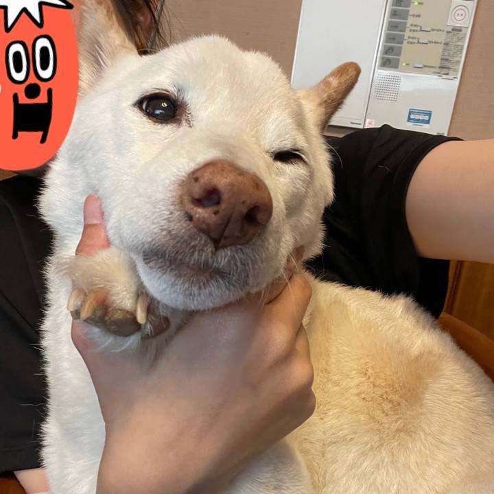 99e12652 a37d 4961 abd1 0c29632b5e44 1637163841577