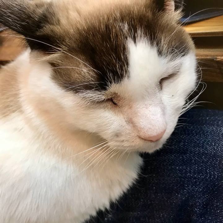 99e1325e 19ab 4e5f 926e 8308ce6af0af 1612693225017