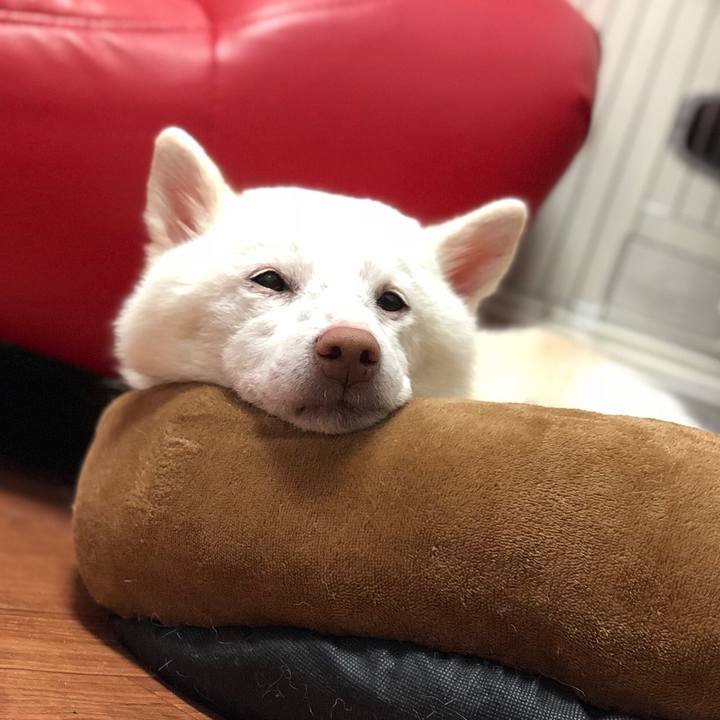 99e13a4f 90a2 485a 9834 a9c9b60d1cbd 1538209137273