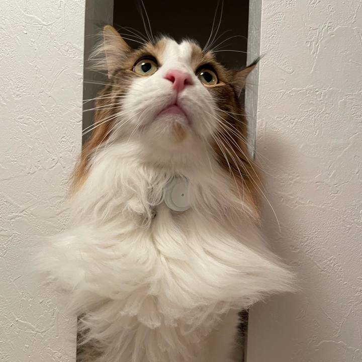 99e15123 deeb 4aa9 aa92 3f0f1b17439e 1669060578254