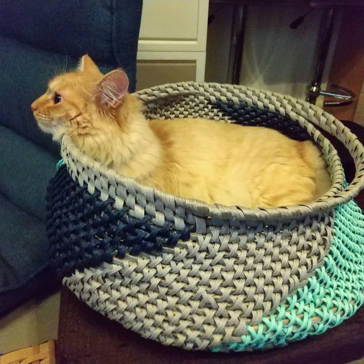 99e1528c 6dec 45e4 9993 93e519e3d7f9 1625185305949