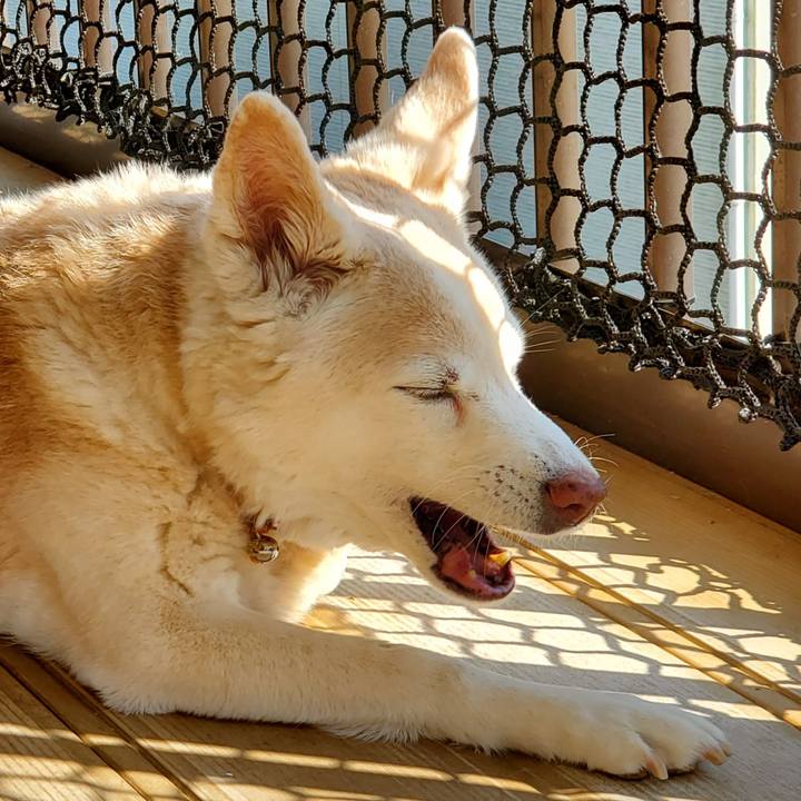 99e1a863 237a 418c 880c 187e1c1e96ef 1681628073425