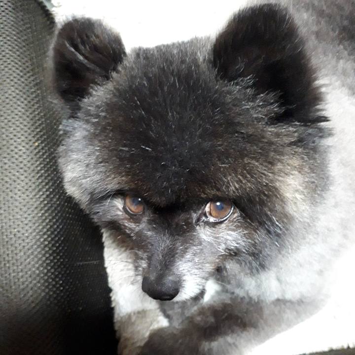 99e225d8 3b24 4a8d 93d1 2b62b83db5e7 1548890813885