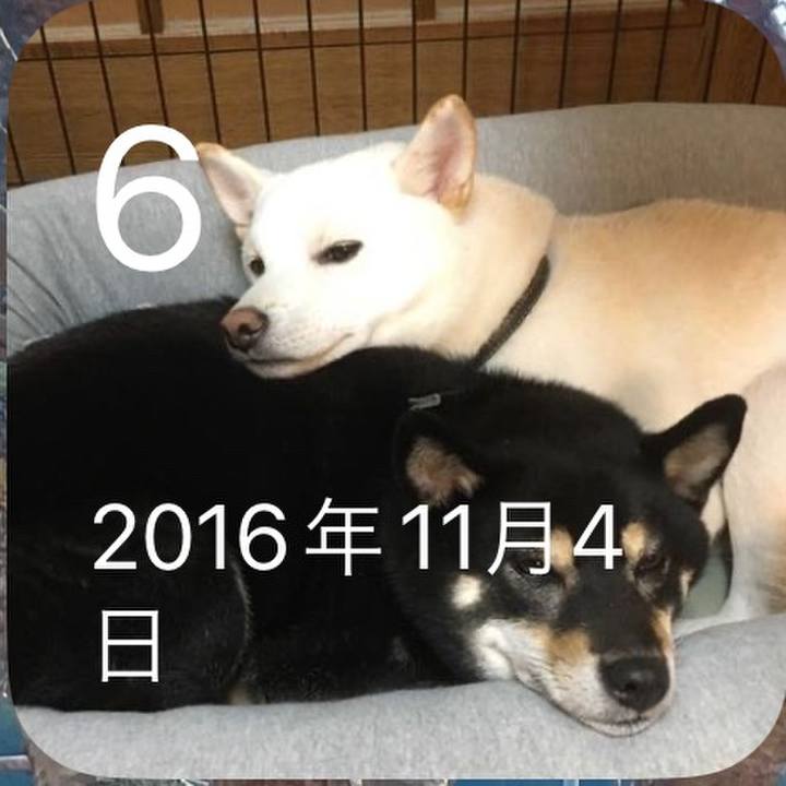 99e25307 aaea 4f9c 958c 381525ba855f 1699242771140