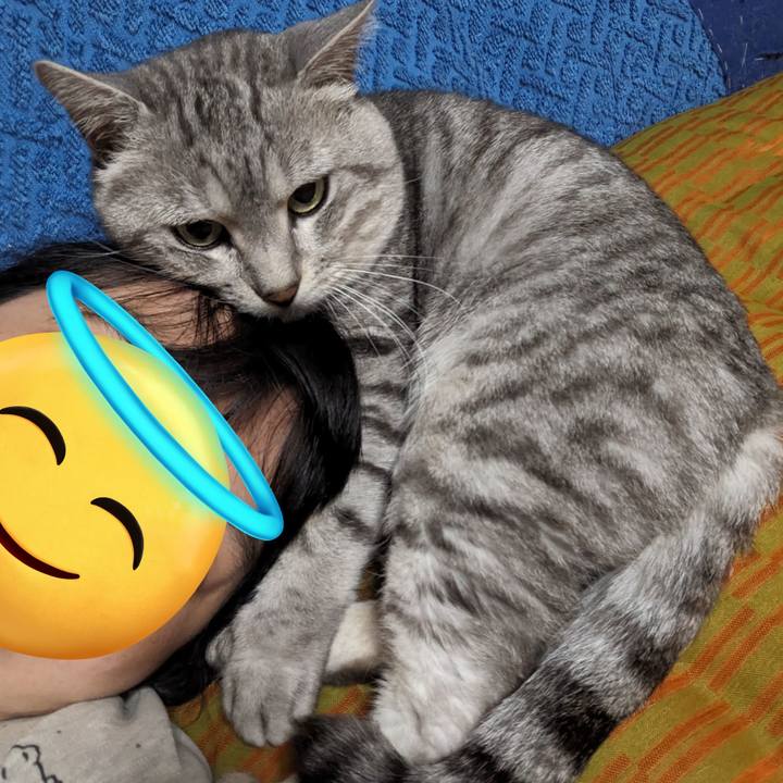 99e2dbaf 0a69 4340 96b2 6b0bf4ccaa0e 1695215080573