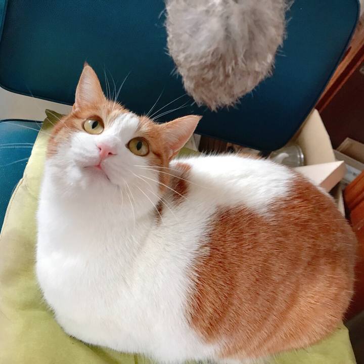 99e30ad5 8946 47ee b573 ea88fc617e15 1516595486450