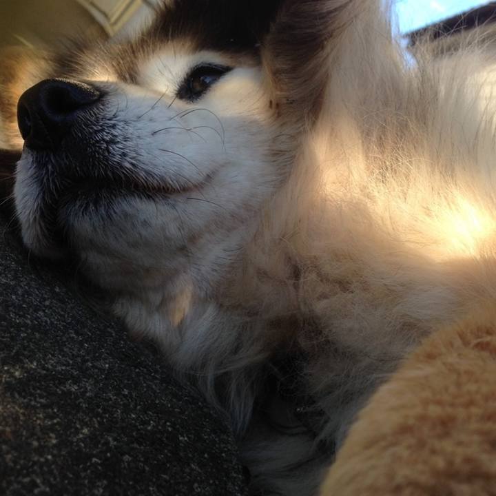 99e312e1 de77 480f b120 e7dc4cd05d93 1603598251254