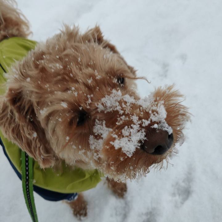 99e321e3 345c 4521 8eb3 99a42f3bf01b 1582584806635