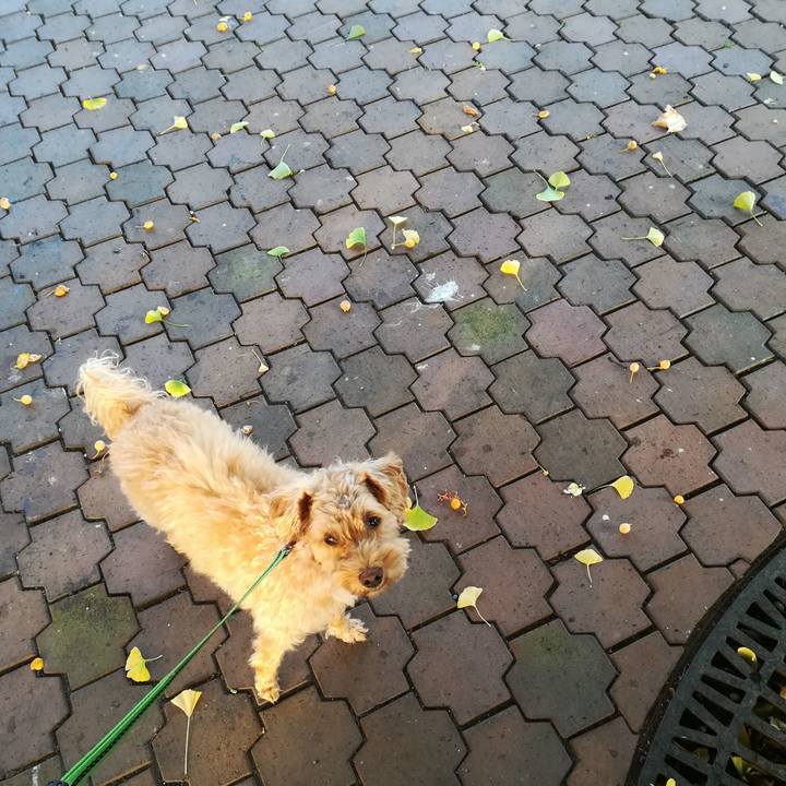 99e3339d fed0 442c aec7 77865235e4f8 1572322577438