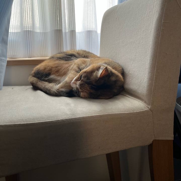 99e35166 d9a8 4599 9d61 9f7b48794f61 1683611646311