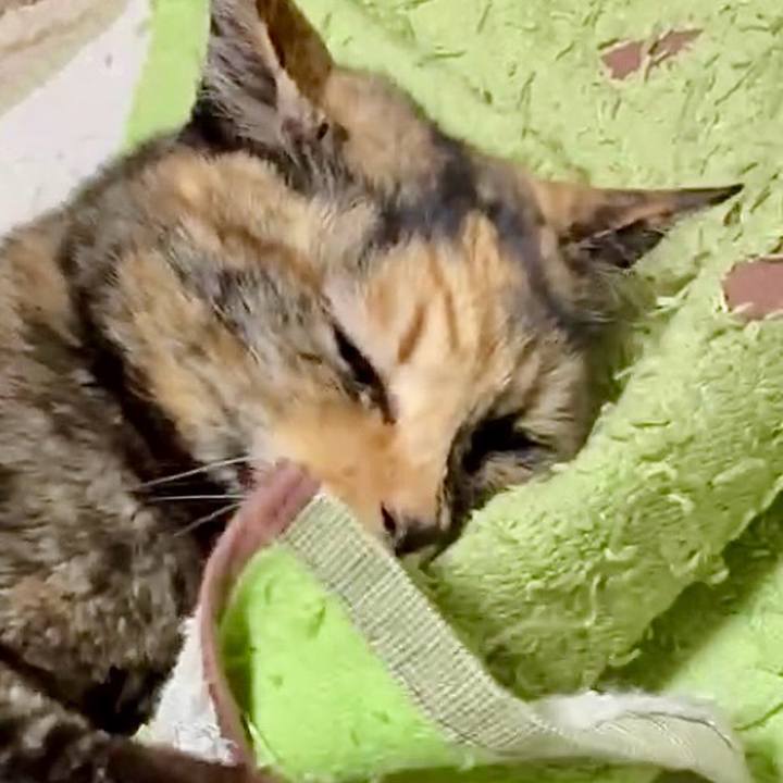 99e353d8 c833 4c5b 89be 4a1a6cf3835e 1769113104479