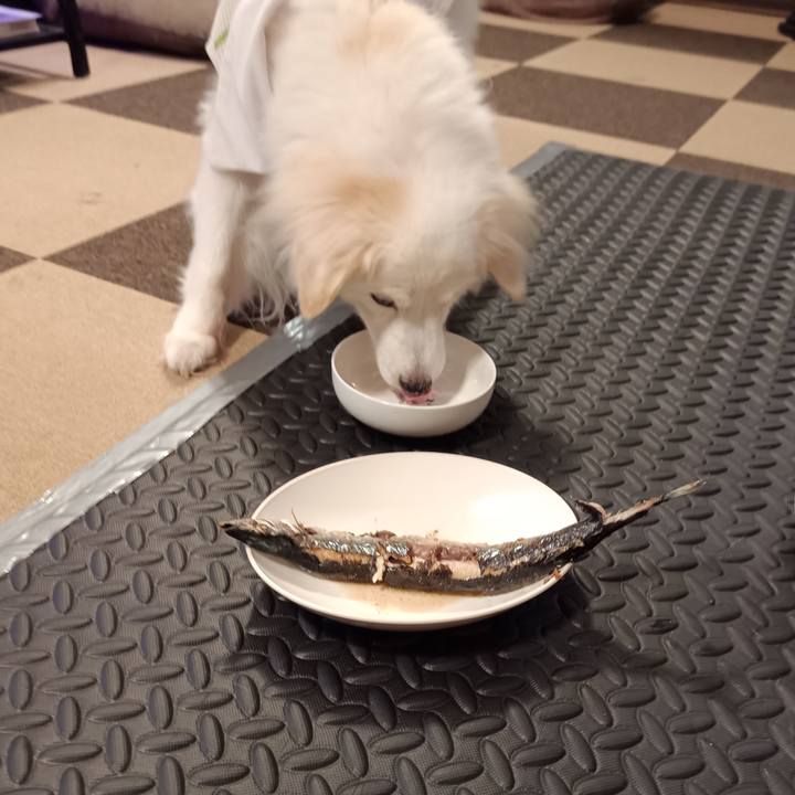 99e380bc 43d3 4201 b5b9 a09cbc5dd9c0 1756977655263