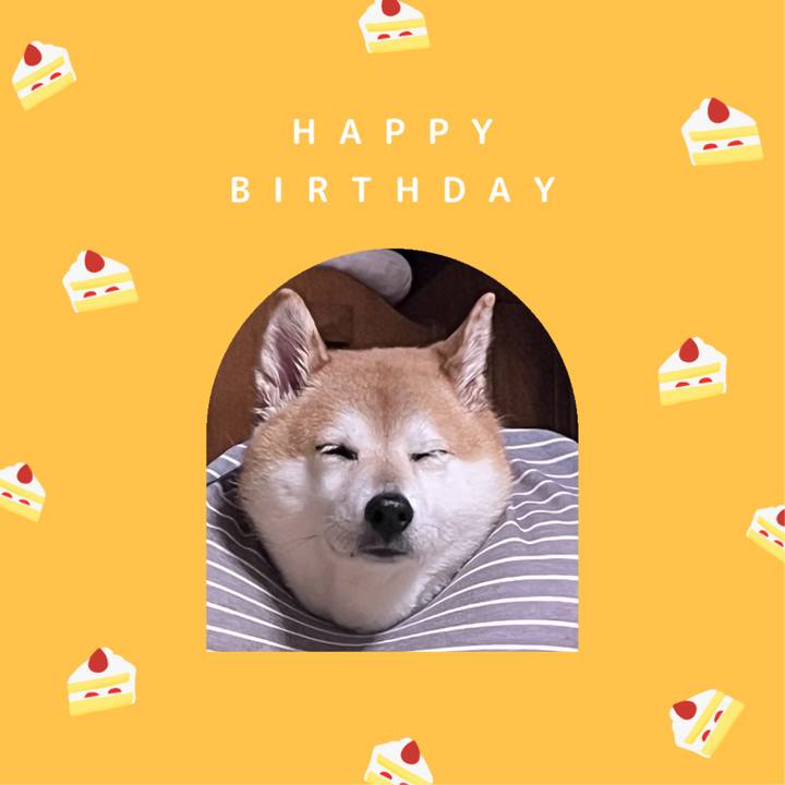 99e3a297 6407 4fbc 8087 51ba18d95c55 1699662450938