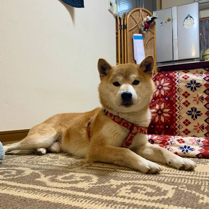 99e43574 1bf0 4004 a9b3 b5d2b02ff29e 1620732662848