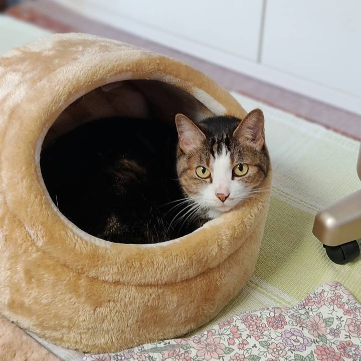 99e4840a e20b 40c1 bbcc e3624368a93d 1667381553263