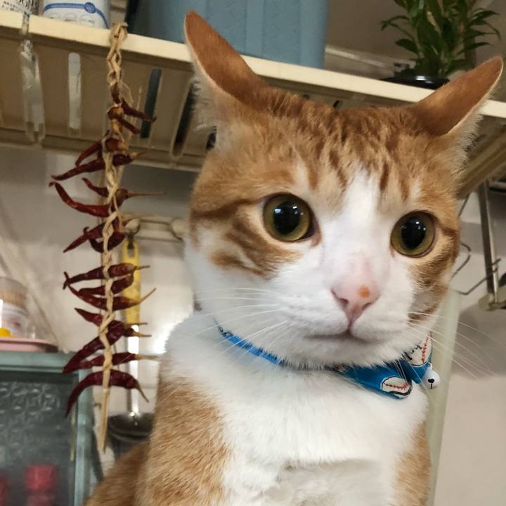 99e4970d cb08 4f6d 90b9 5c4b489c44e7 1529706592266