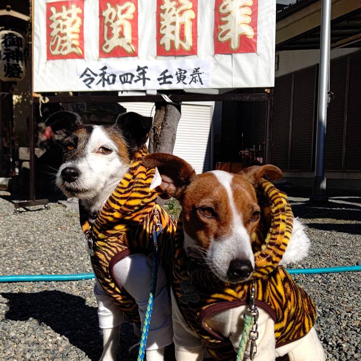 99e49817 eb56 41b5 823f f12eff6f86d6 1641008990776