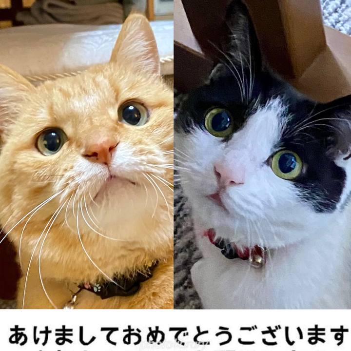 99e4e6d7 3ba6 47bb 8194 5414e6637a92 1704066061111