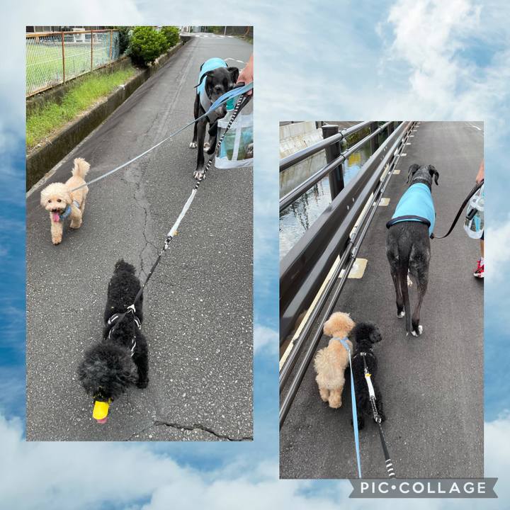 99e52695 c069 4090 a1d3 aa6d0dfa8a18 1631343231111