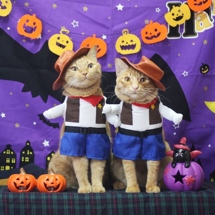 99e55521 1909 457d b53e f358d073784e 1696826160148