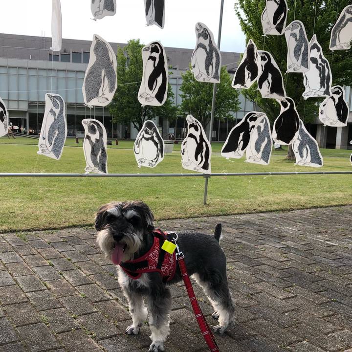 99e56eb8 eb36 4479 8f0b d516818fe3af 1525087280070