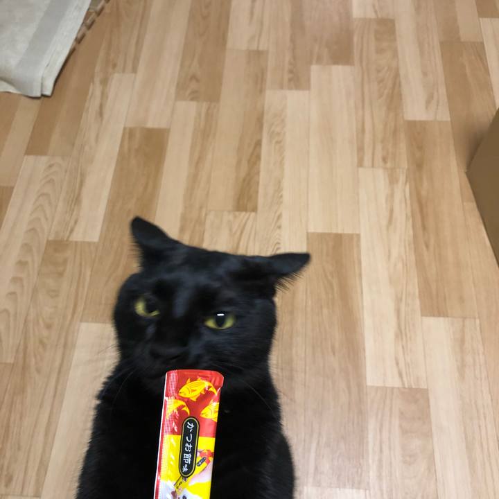 99e59066 fe4a 4cb2 9552 110e0d438dcf 1531737722065