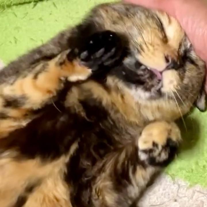 99e5931d 2f49 4334 a24d 9d5daace4969 1739566146417