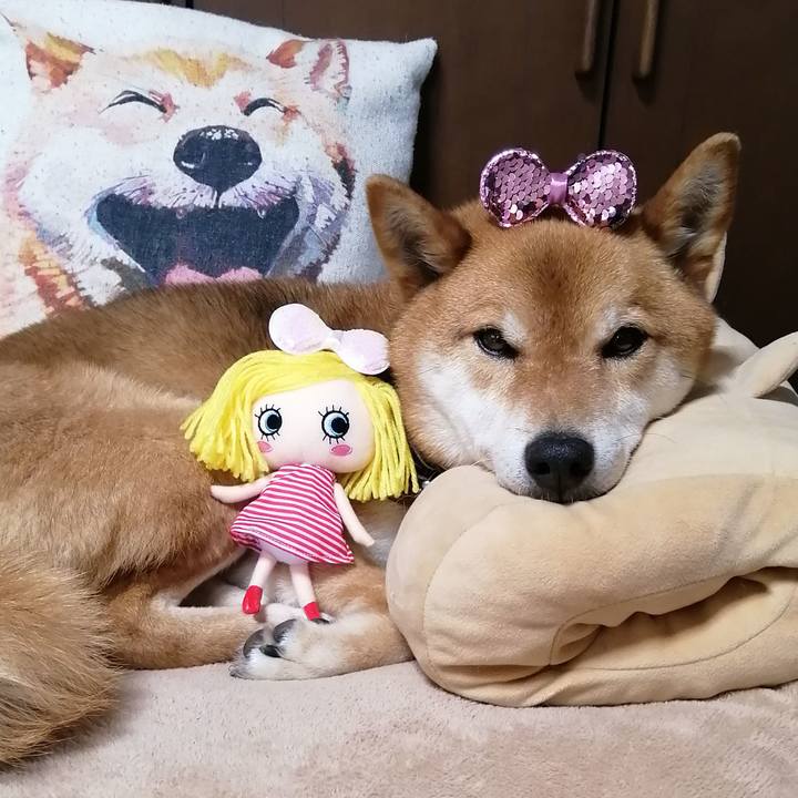 99e598d5 551e 4e1d 8210 596a9f820eb1 1590109945982