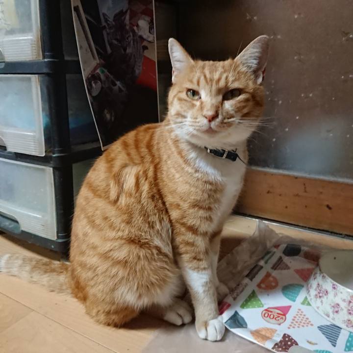 99e5c402 35c6 41c6 bb0e e015f8b132d0 1606294640070