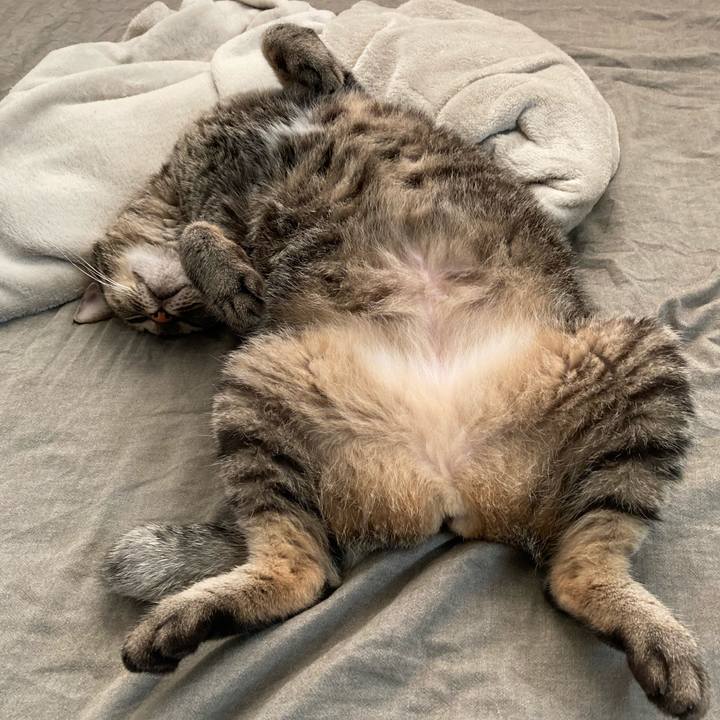 99e5cf83 e688 4d72 9f6d 46f53aeead90 1596356734237