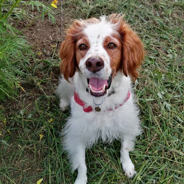 99e60cd7 8997 4a56 85f7 31e562fdb0c9 1600429514789