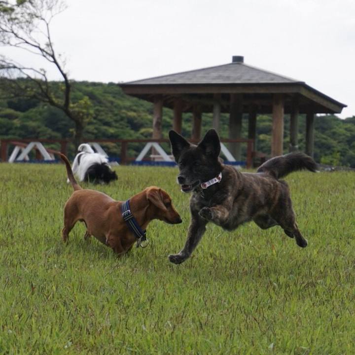 99e62d89 3356 4cfa 9f74 ae34e199929a 1529401277930