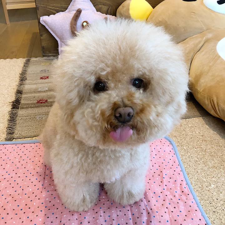 99e63341 e167 4927 9ec1 16084e393334 1525667053200