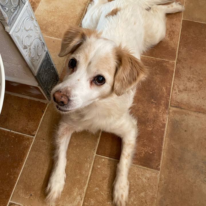 99e6755d ac0e 4850 9ace e6bdc96dc94e 1767423641782