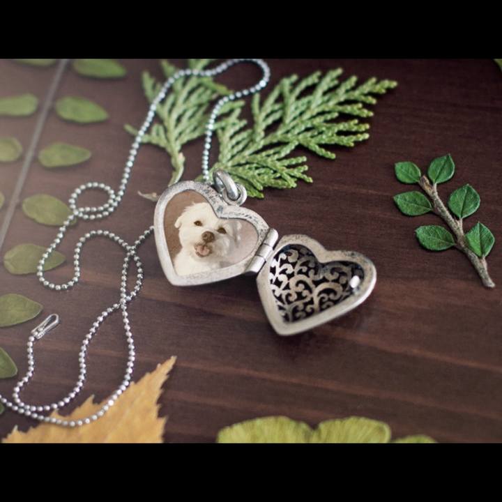 99e678de 989f 4978 b769 7ad6c53aed84 1707135390236