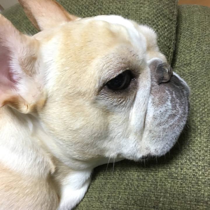 99e6b63d 6816 4c83 993b ed06cc457d64 1511789514581