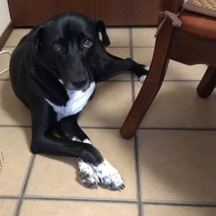 99e6de74 4f0e 4f3c a656 823930d80fd0 1594025591318