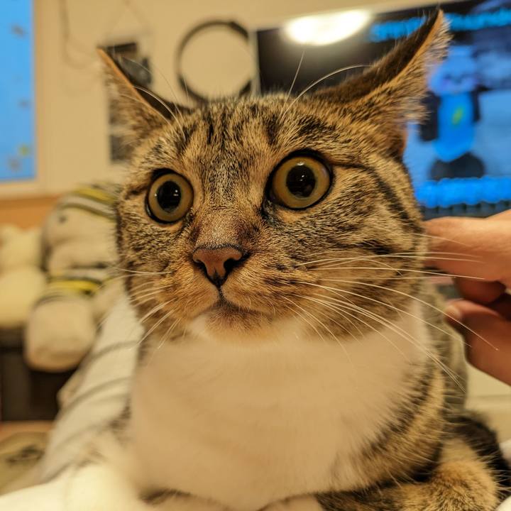 99e71538 28a7 49a4 80c2 2535d7ba2f5f 1687943016658