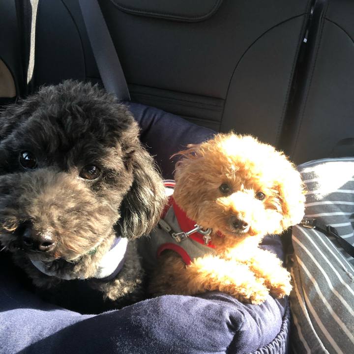 99e71a5d 87c5 4573 99ce 268f3e9ff21a 1610715094365