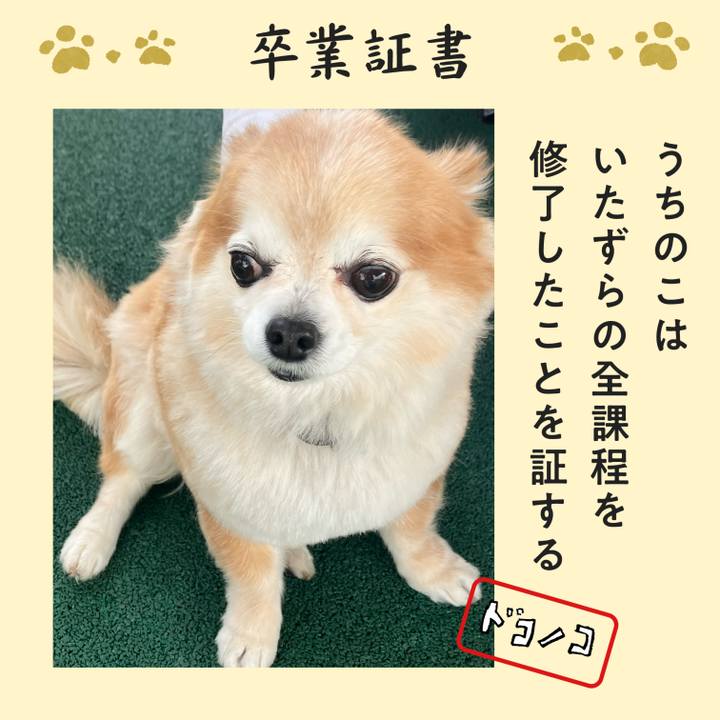 99e78fed 42b6 4ed8 a4d8 621295dc8a1c 1772201723425