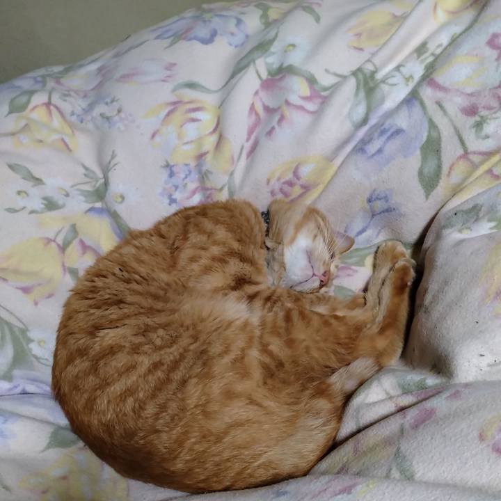 99e7f640 3c5f 4d0b 87a5 ae017e78bc23 1669037207055