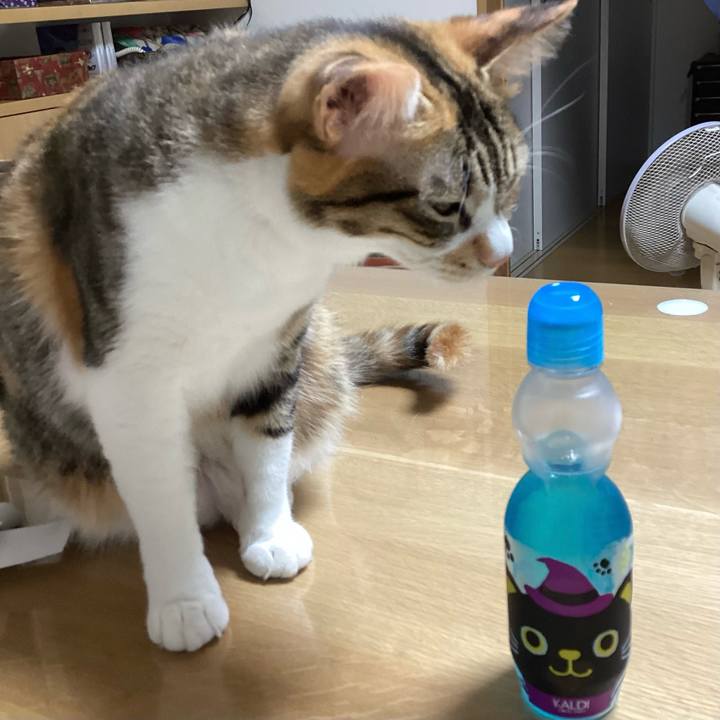 99e80308 073d 4a6d ba10 8837043925f0 1694505517147