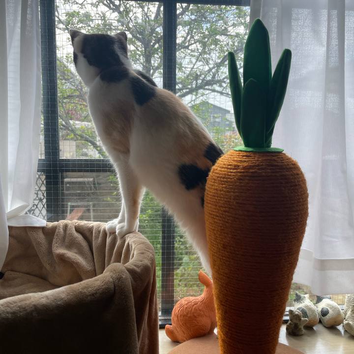 99e8250a 47d7 414f 87ad 01a32156048e 1713327258525