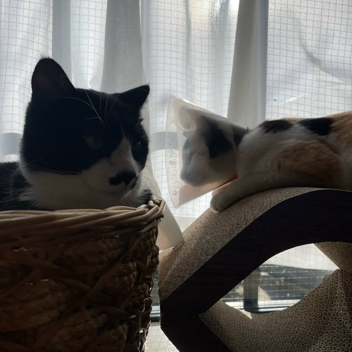 99e832ee 3dc9 4a27 8f38 60cbb855de9a 1672016227019